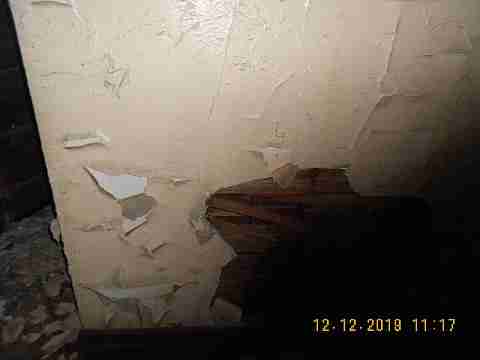 5529 Joy 2nd trip (23)_m.jpg